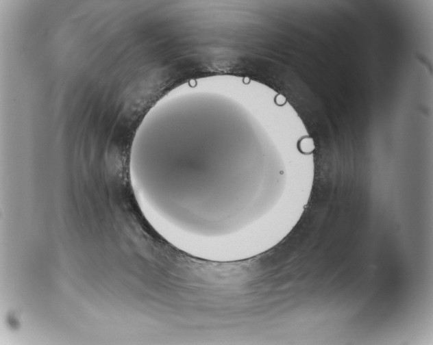 X0000103950031200810171849