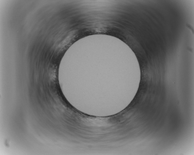 X0000103950032200810171849