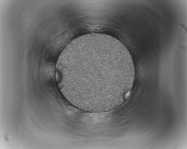 X0000103950033200810171849
