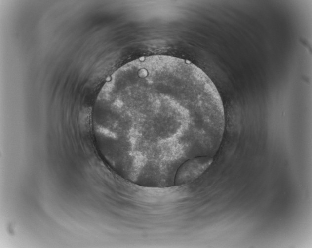X0000103950034200810171849