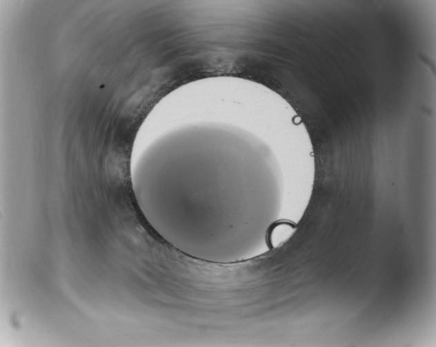 X0000103950035200810171849