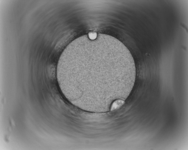 X0000103950036200810171849
