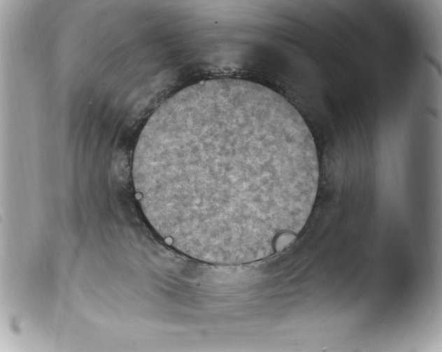 X0000103950037200810171849