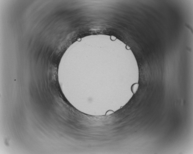 X0000103950038200810171849