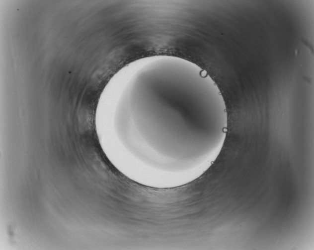 X0000103950039200810171849