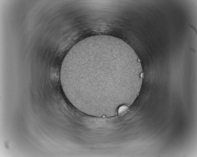 X0000103950040200810171849