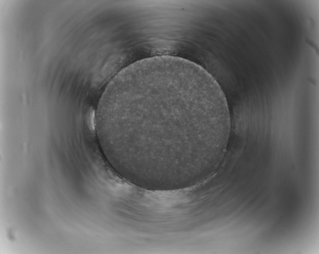 X0000103950041200810171849