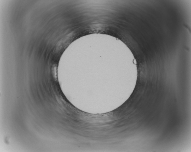 X0000103950042200810171849