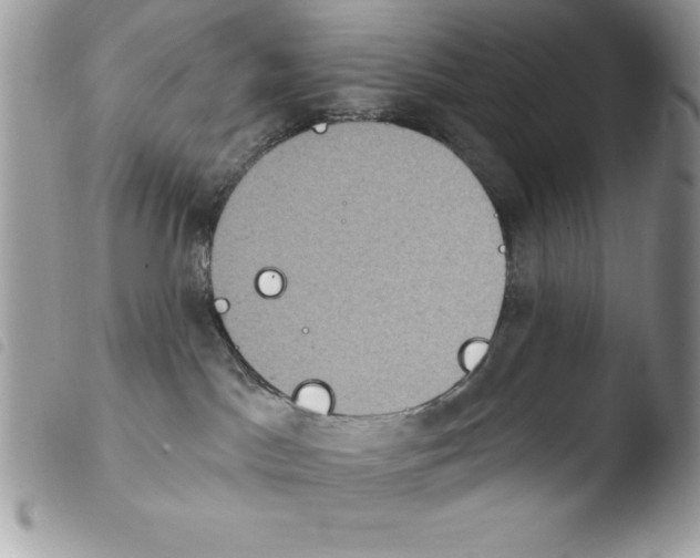 X0000103950045200810171849