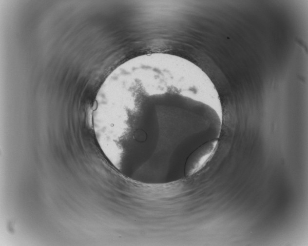 X0000103950046200810171849