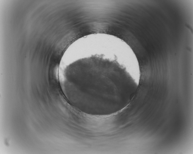 X0000103950047200810171849