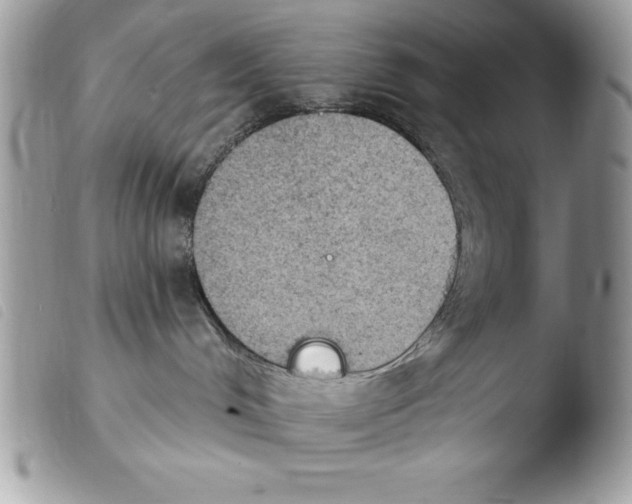 X0000103950048200810171849