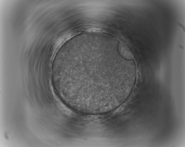 X0000103950049200810171848