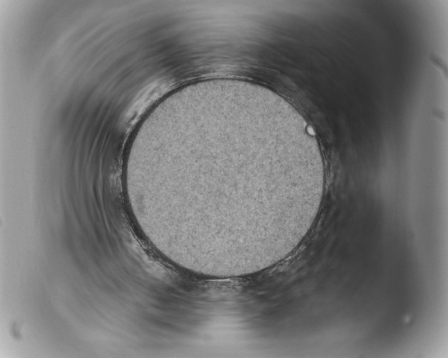 X0000103950050200810171848