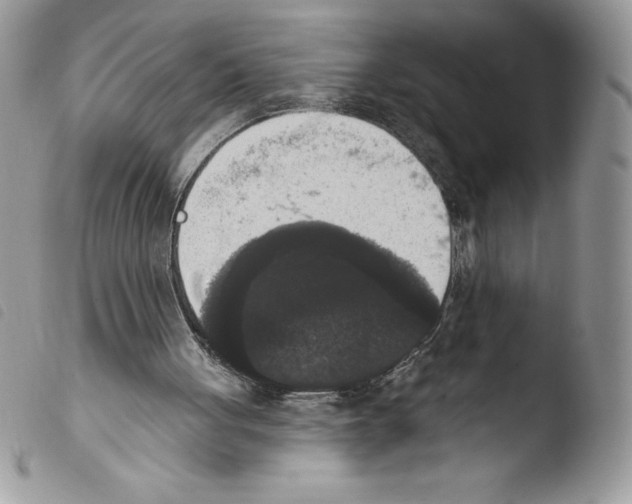 X0000103950051200810171848