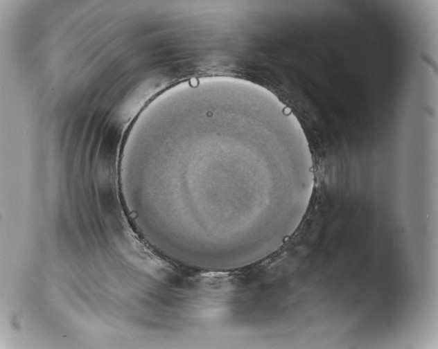 X0000103950052200810171848