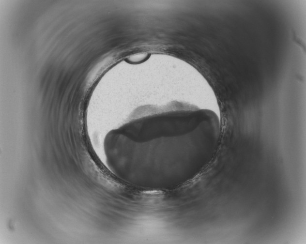 X0000103950053200810171848