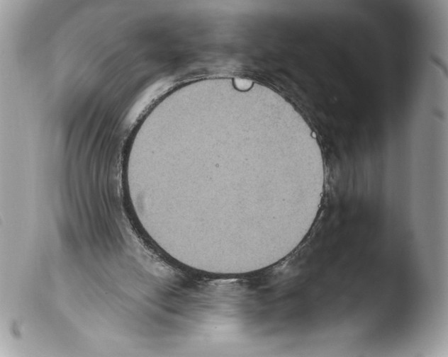 X0000103950054200810171848