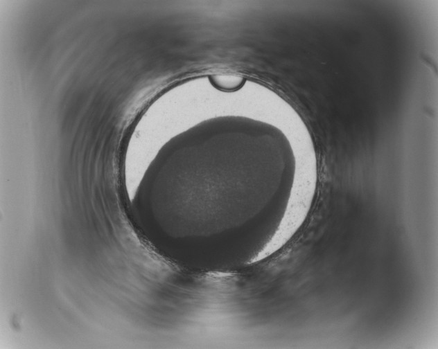 X0000103950055200810171848