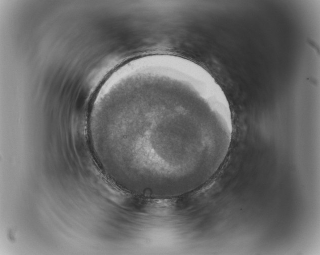 X0000103950056200810171848
