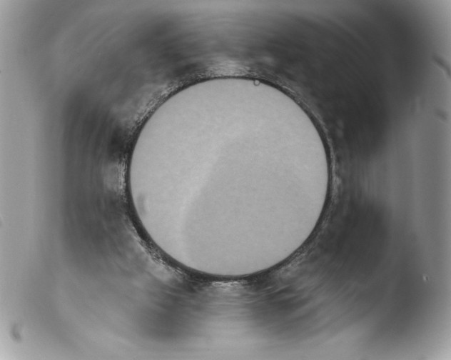 X0000103950057200810171848