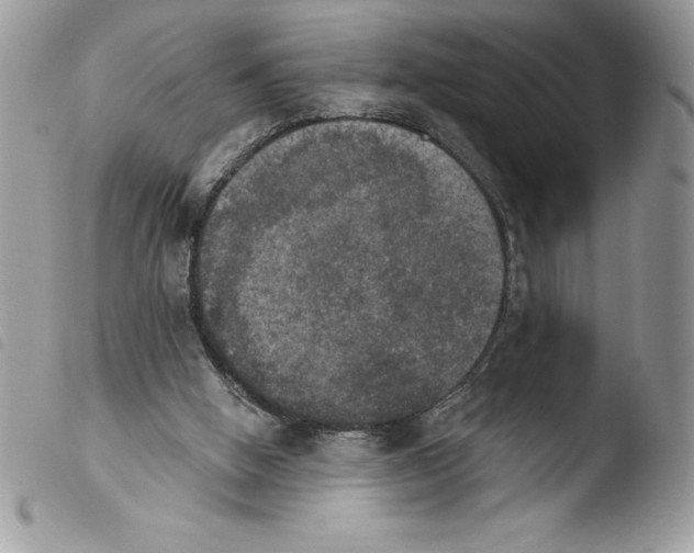 X0000103950058200810171848