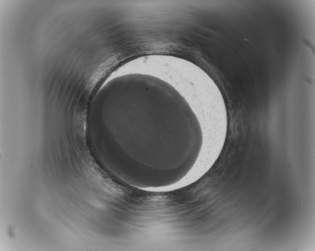 X0000103950059200810171848