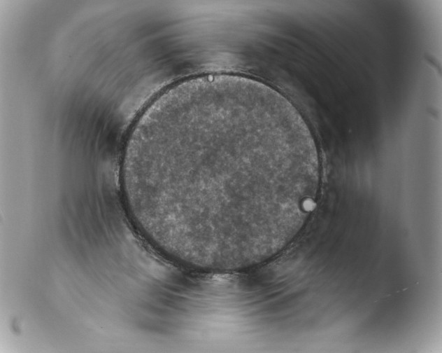 X0000103950060200810171848