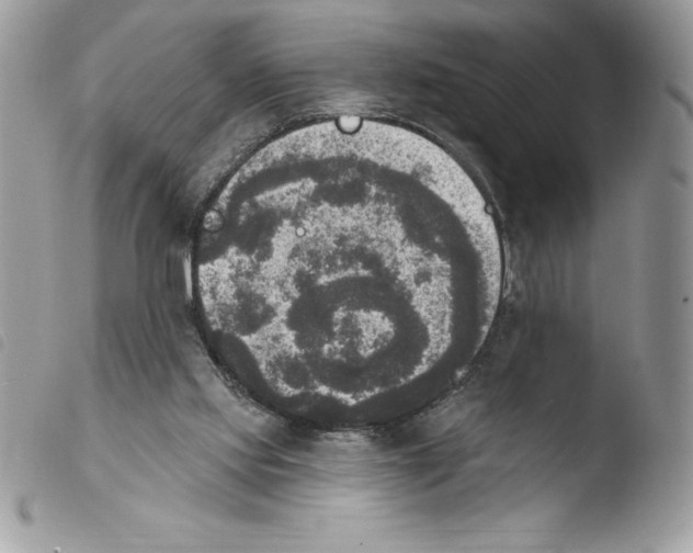 X0000103950061200810171848