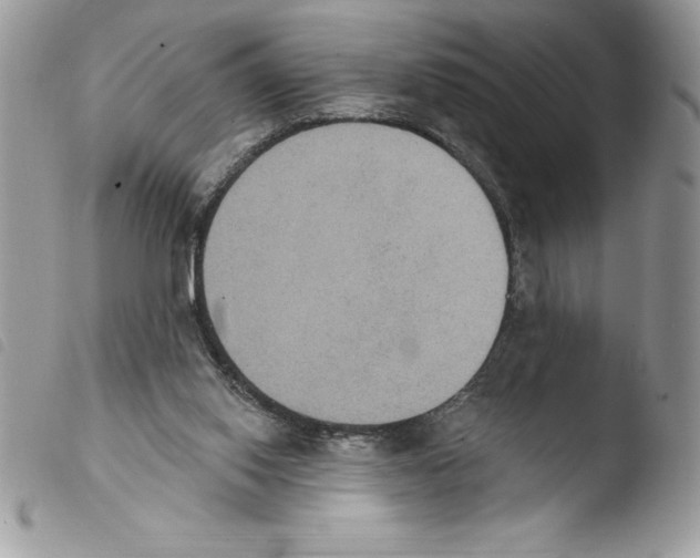 X0000103950062200810171848