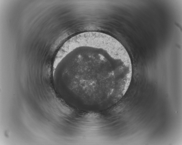 X0000103950063200810171848