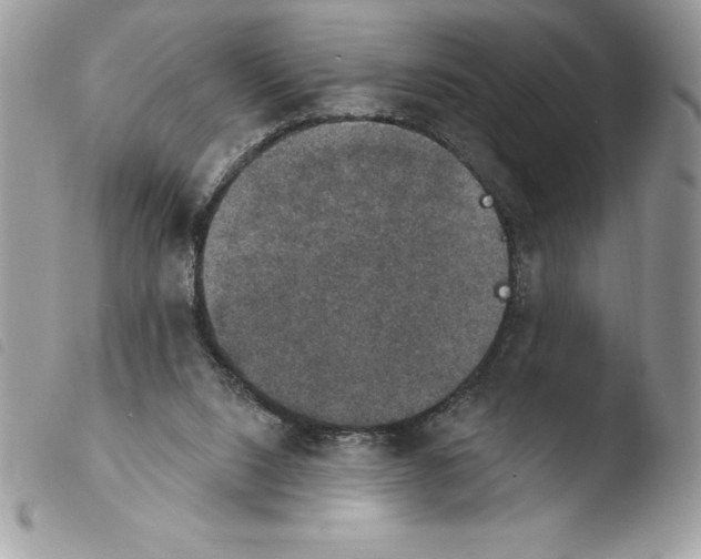 X0000103950064200810171848