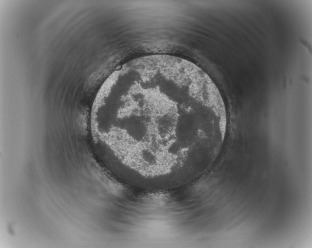 X0000103950065200810171848