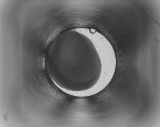 X0000103950067200810171848