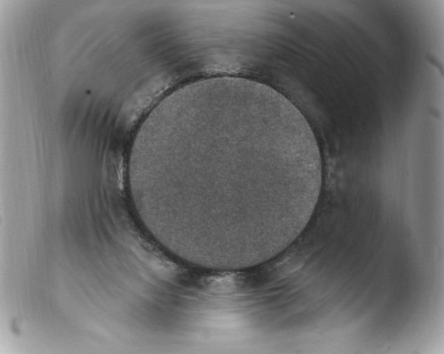 X0000103950068200810171848
