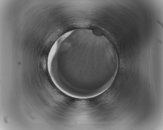 X0000103950069200810171848