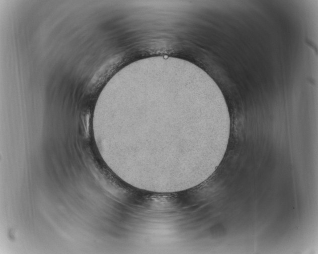 X0000103950070200810171848