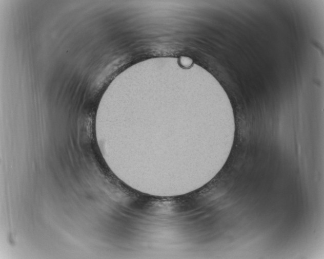 X0000103950071200810171848