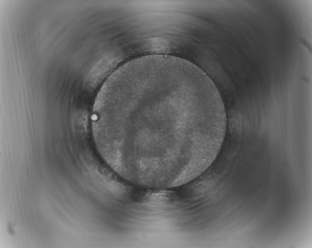 X0000103950072200810171848