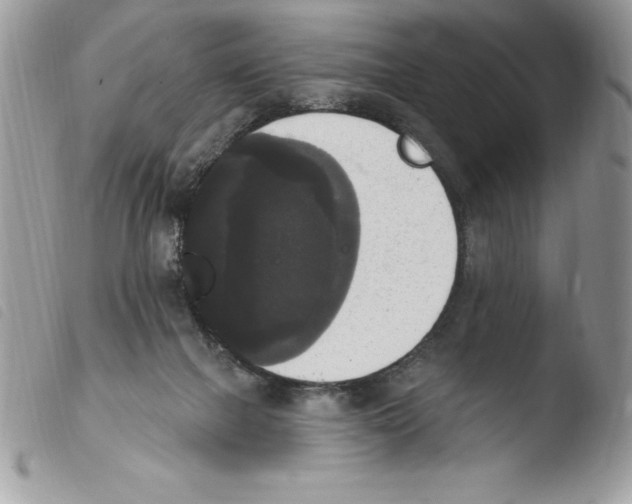 X0000103950073200810171848