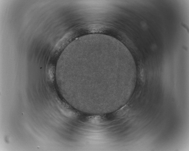 X0000103950074200810171848