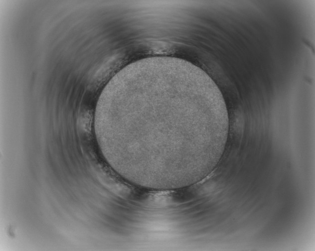 X0000103950078200810171849