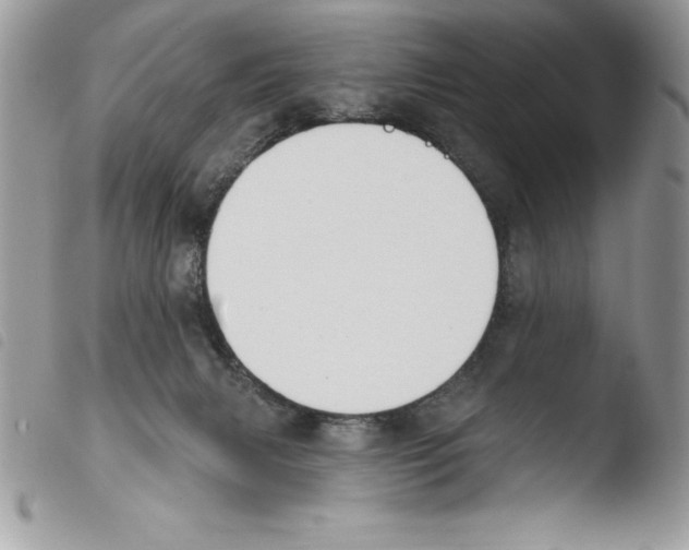 X0000103950079200810171849