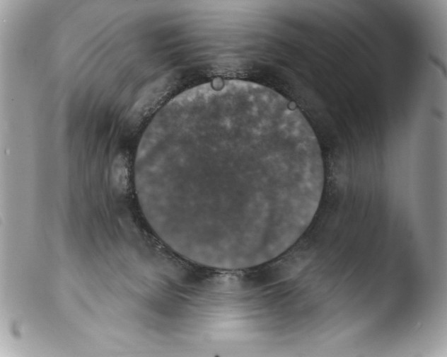 X0000103950080200810171849