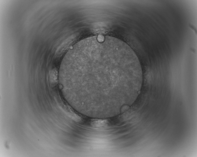 X0000103950081200810171849