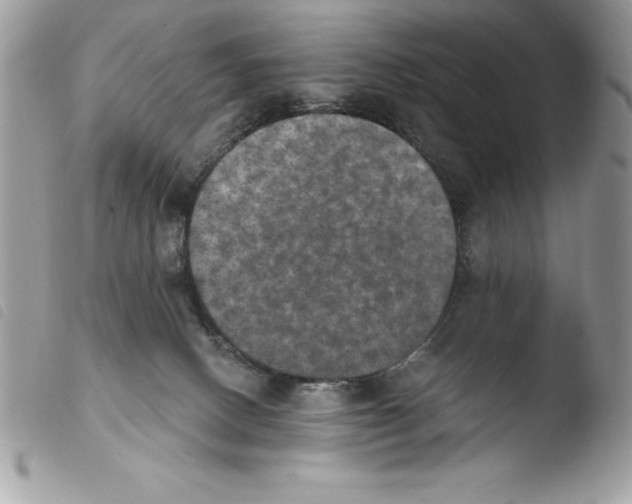 X0000103950082200810171849