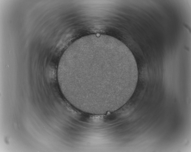 X0000103950084200810171849