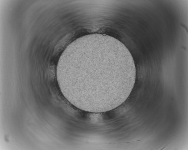 X0000103950085200810171849