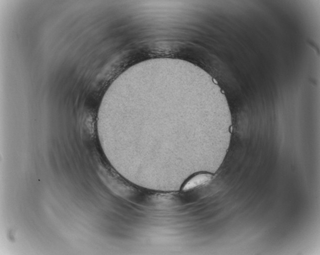 X0000103950086200810171849