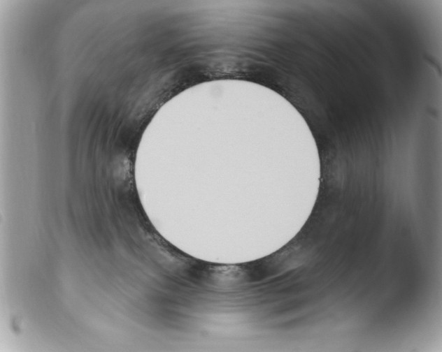 X0000103950087200810171849